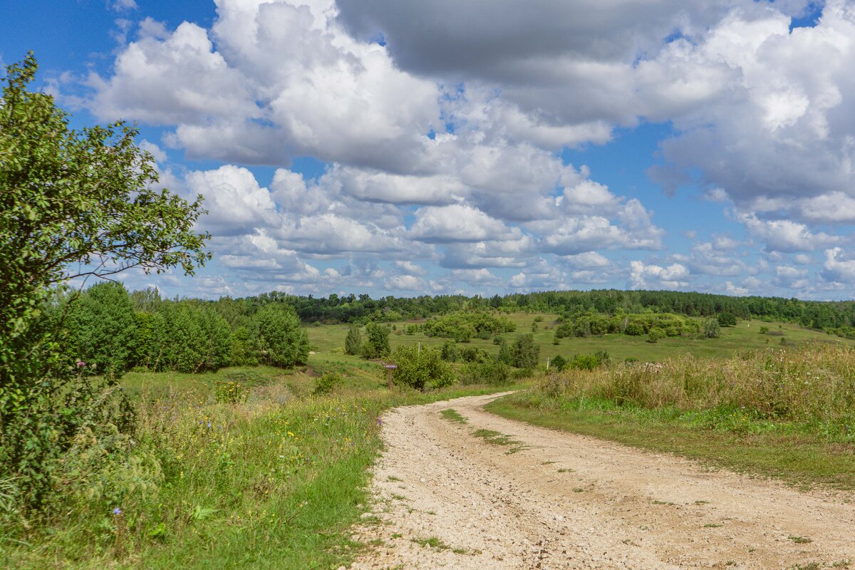 Дорога в облака - Дмитрий Ряховский
