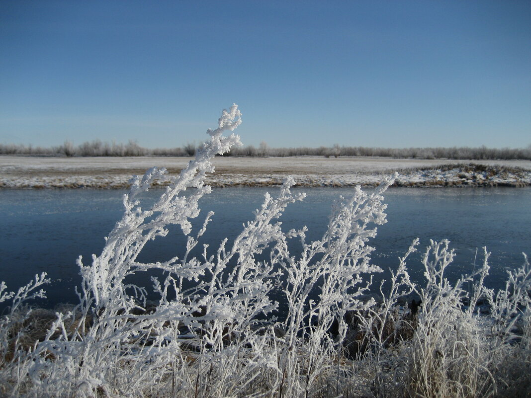Морозное утро - Anna Ivanova
