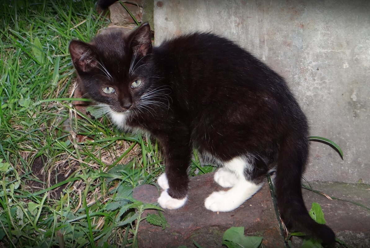 Малыш - Антонина Гугаева