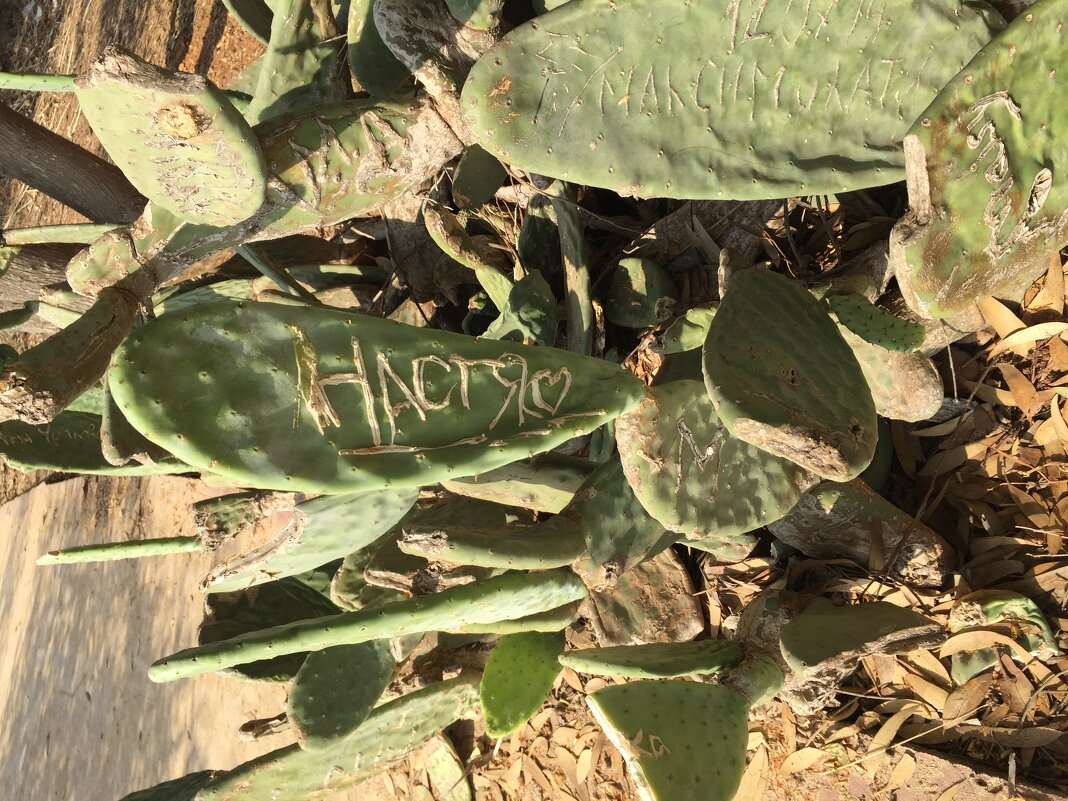 Кипр. Айя-Напа - Андрей 