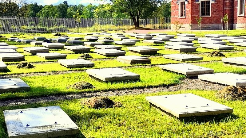 Пенсионерная конюшня к кладбище лошадей - 5 - Сергей Пенсионерная конюшня к кладбище лошадей - 5 - Сергей