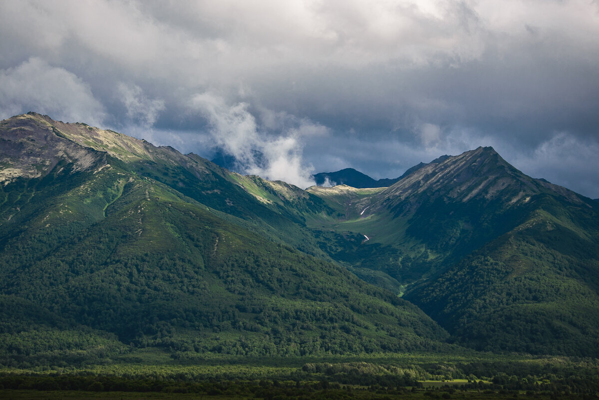 ... - Жора Житников