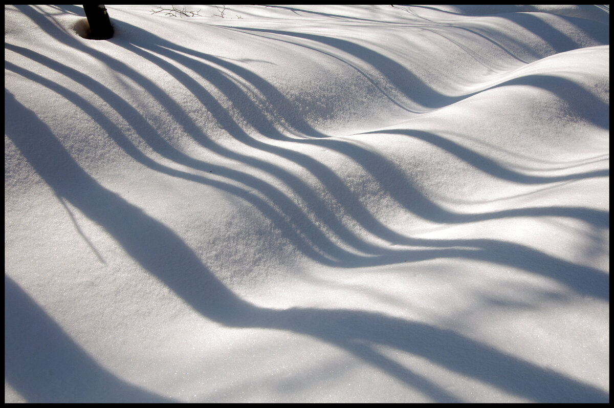 Март - **** vedin