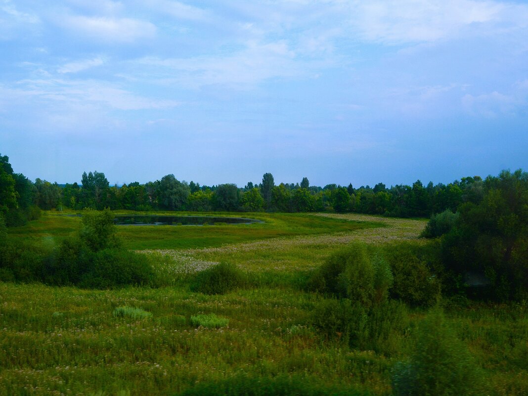 Алатырь. Пойменное озеро Иваньково. - Пётр Чернега