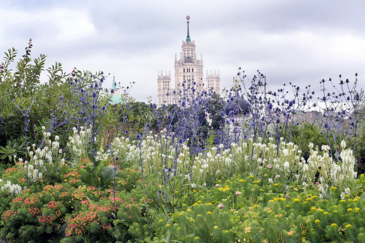 Зарядье в июле - Михаил Бибичков