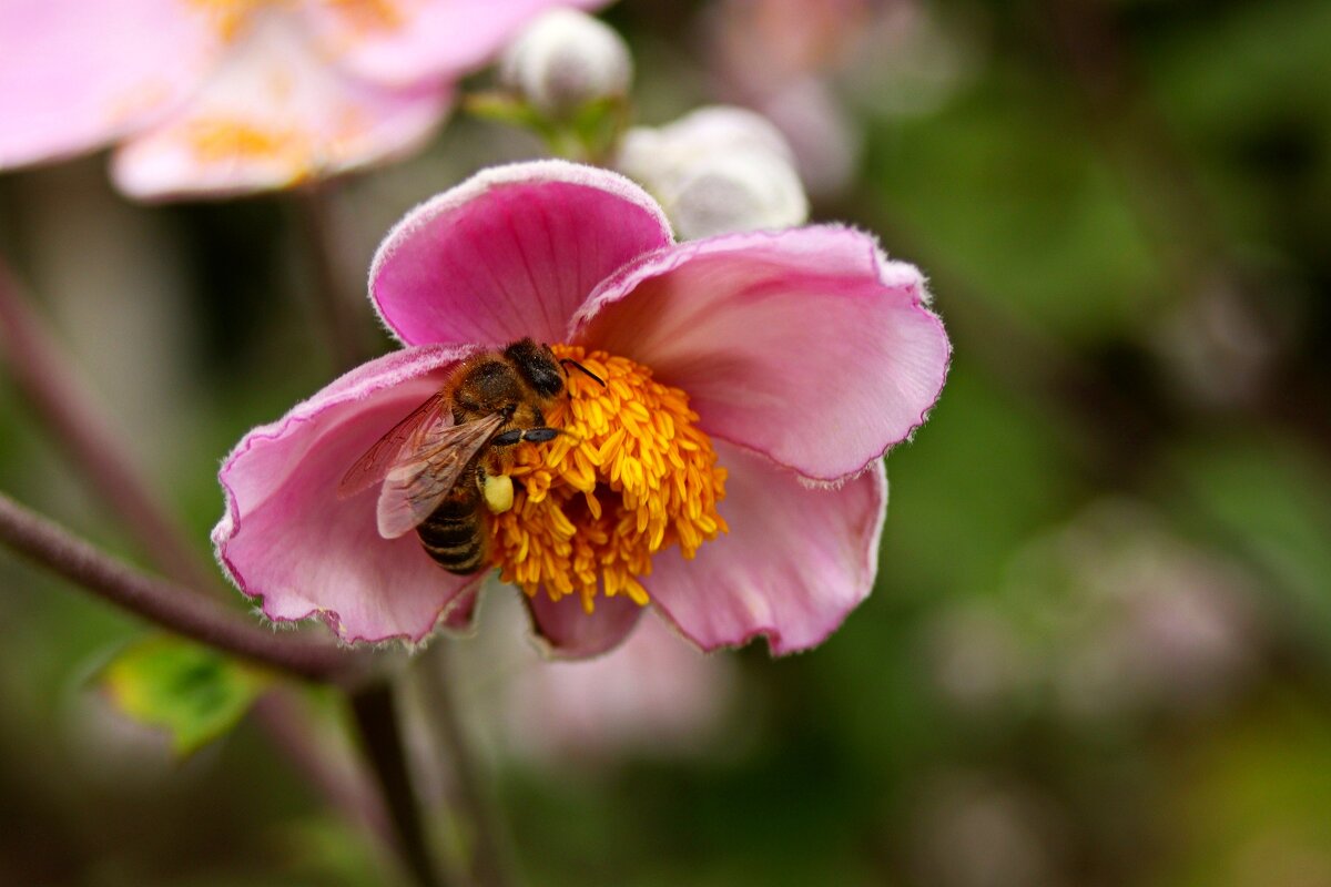 За работой - Юрий. Шмаков За работой - Юрий. Шмаков