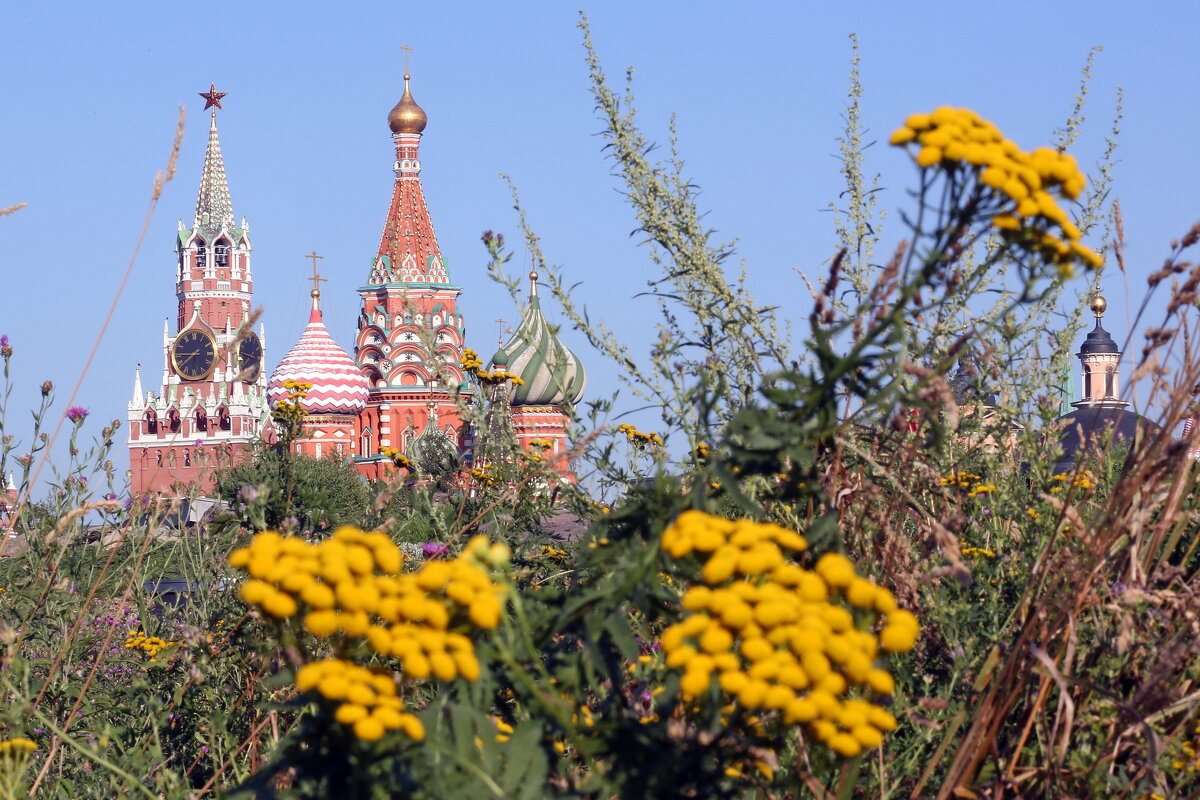 Зарядье в июле - Михаил Бибичков