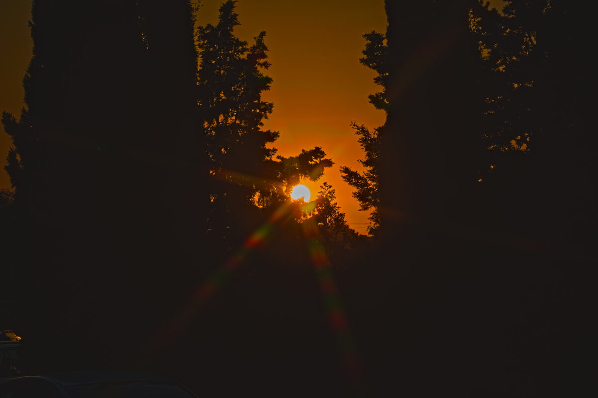 Рассвет - Giant Tao /