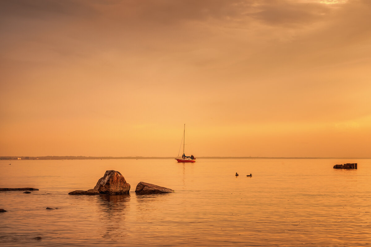 Про Питер - Владимир Колесников