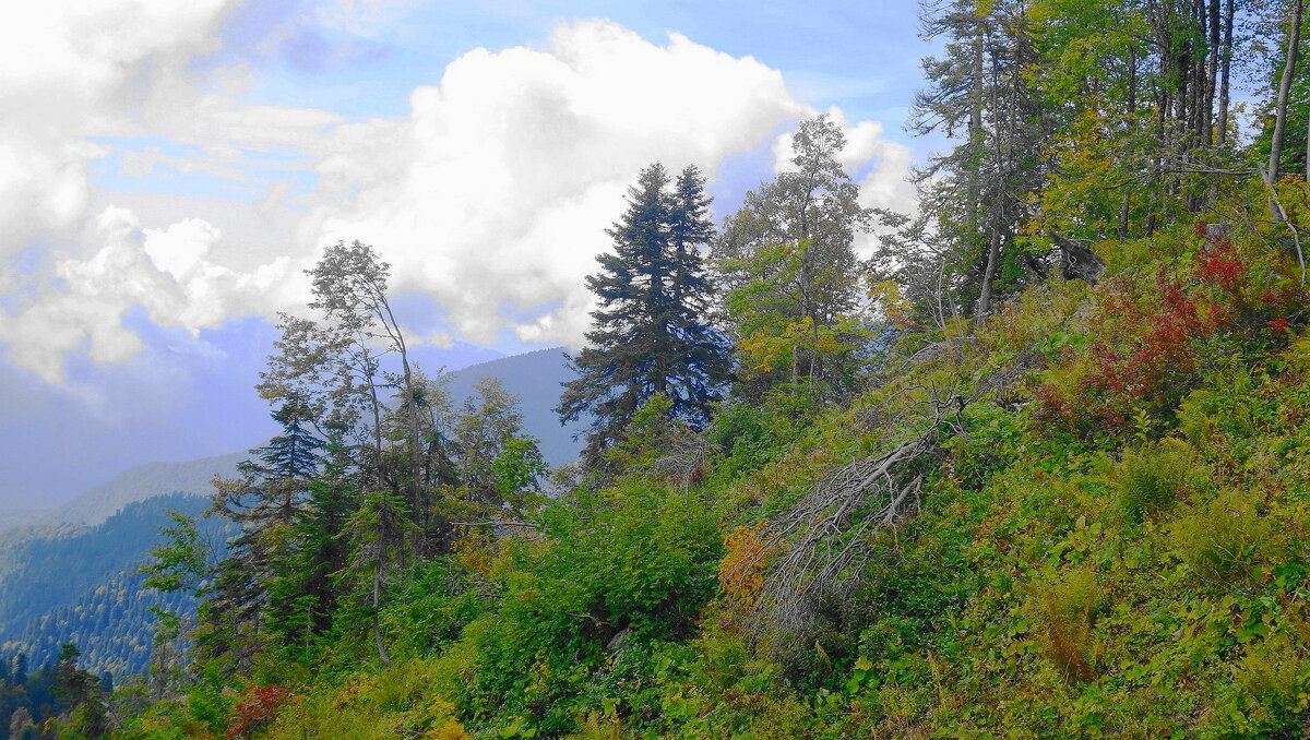 Кавказские горы - Рита Симонова