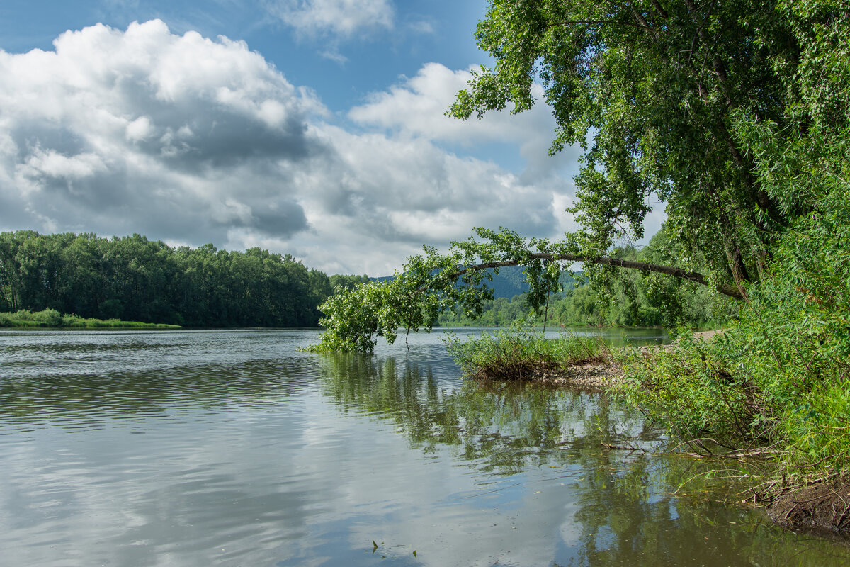 *** - Николай Чекалин