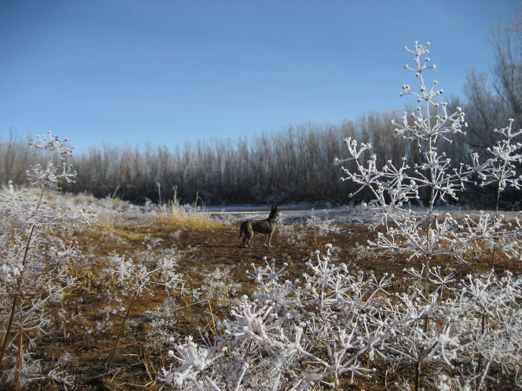 Прогулки - Anna Ivanova
