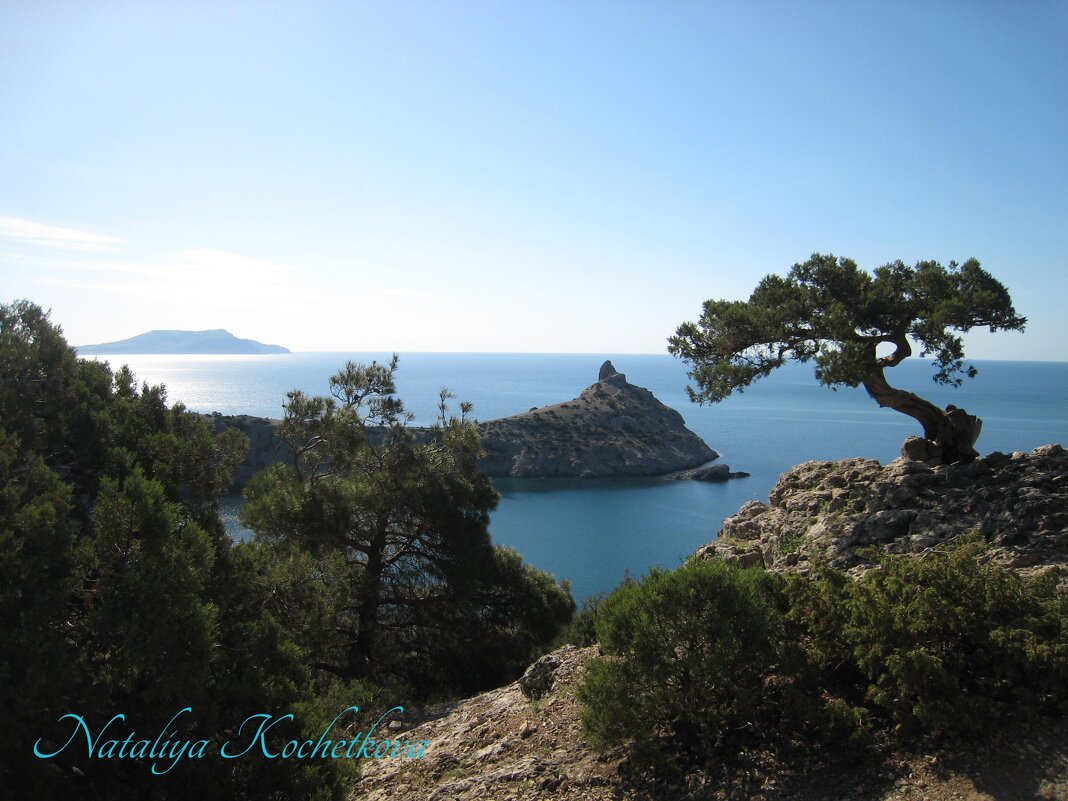 Природа Крыма - Amazing Cosmea Природа Крыма - Amazing Cosmea