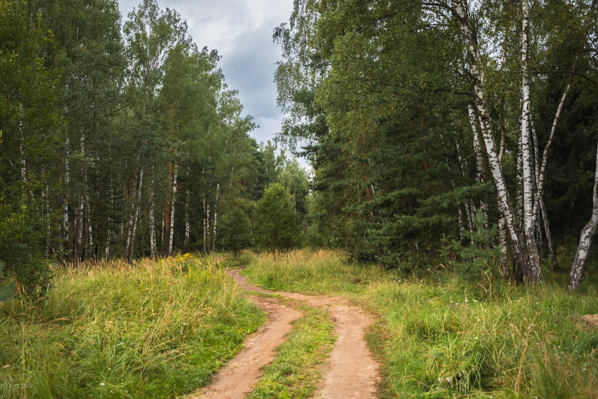 В лес! - Nyusha . В лес! - Nyusha .