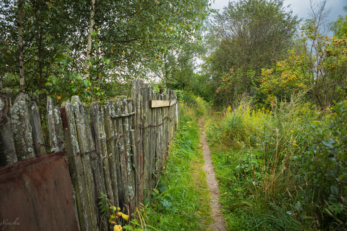 Заброшка... - Nyusha .