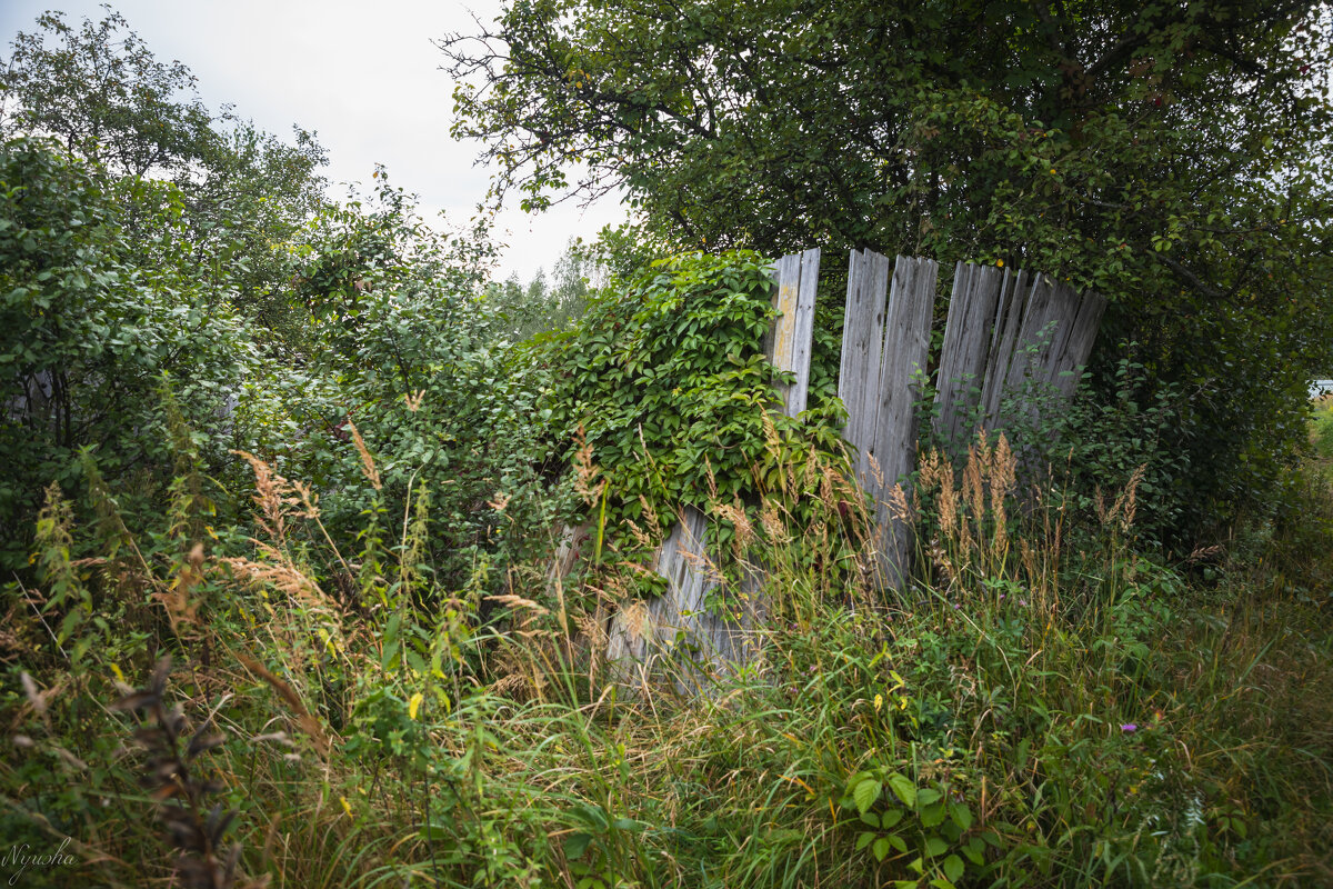 Заброшка... - Nyusha .