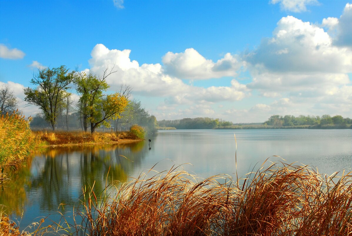 Осень. - Владимир 