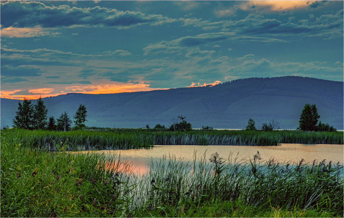 *** - Алексей Мезенцев