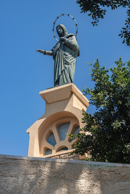 Регина Палестина - Argaman Табашник