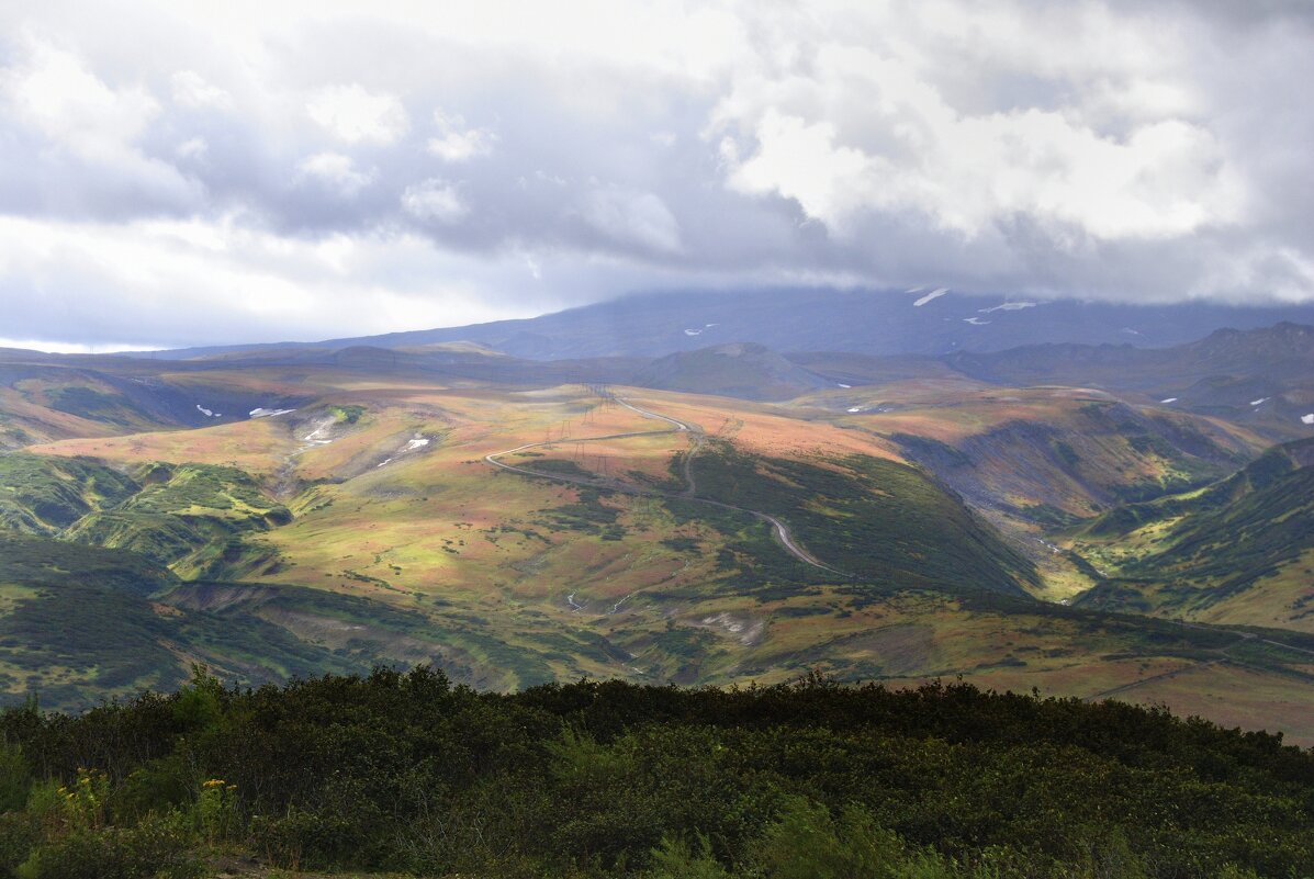 Разноцветье Камчатки - Марина Виноградова