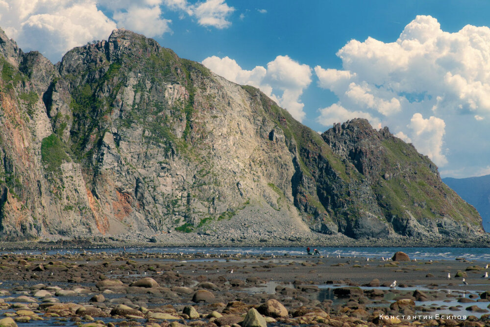 /// - Константин Есипов