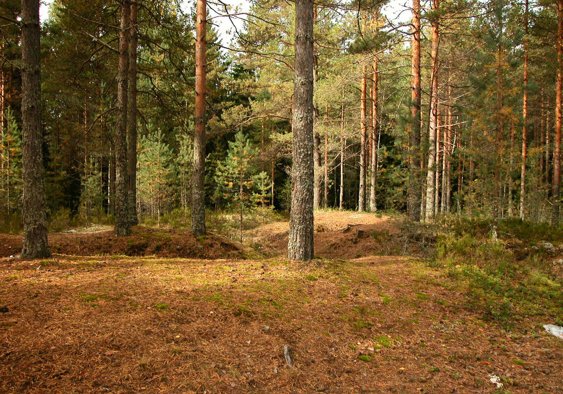 Начало осени... - Наталья Лунева 
