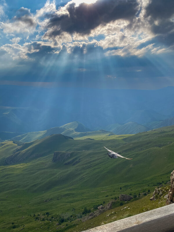 Вечер на Бермамыте - Светлана Карнаух