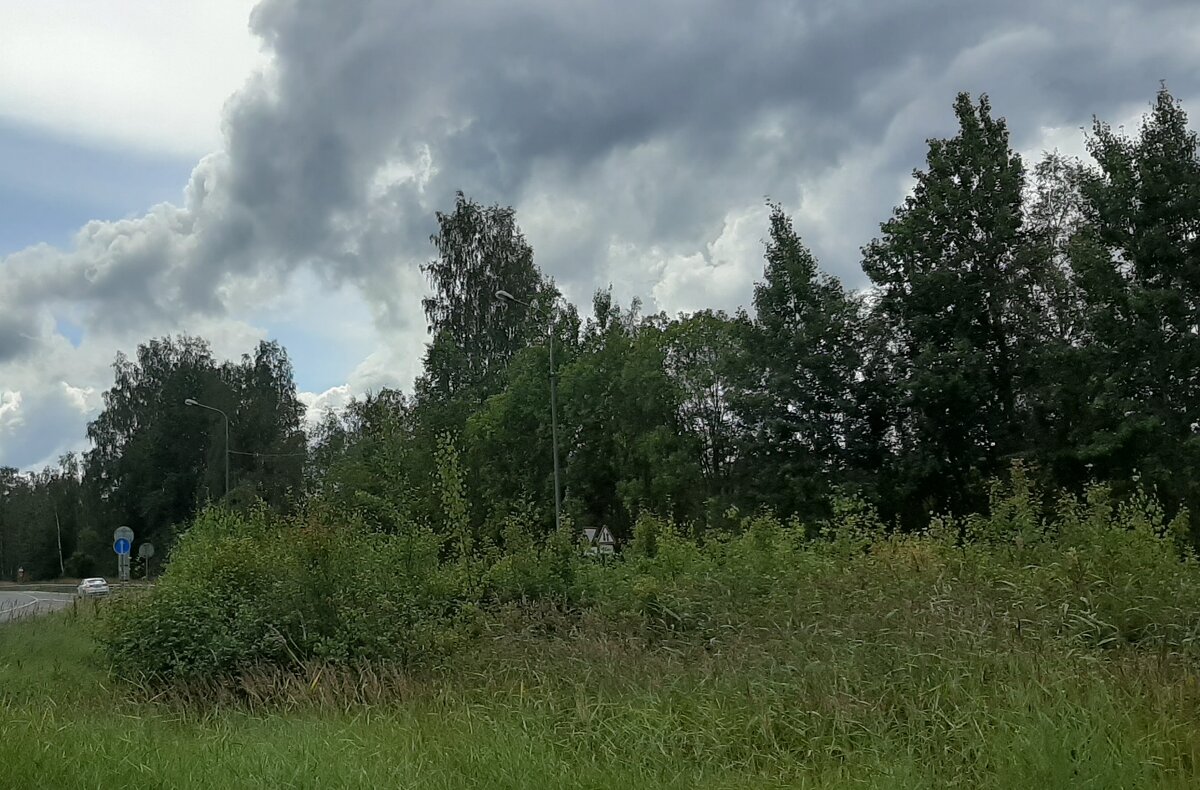 Август - Наталья Герасимова