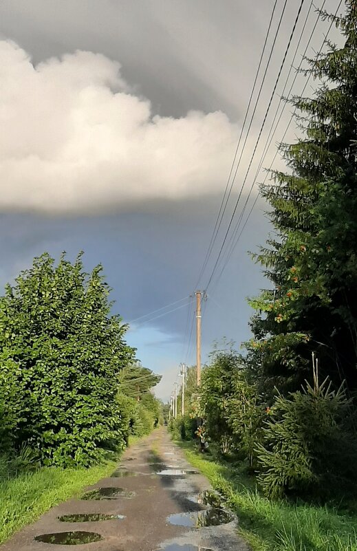 После дождя - Наталья Герасимова После дождя - Наталья Герасимова