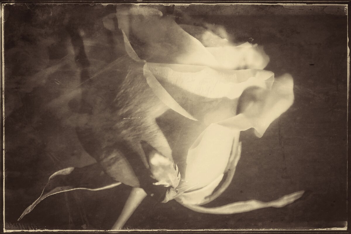 Нежность линий и грация изгибов... - Руслан 