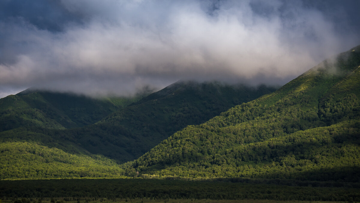 ... - Жора Житников