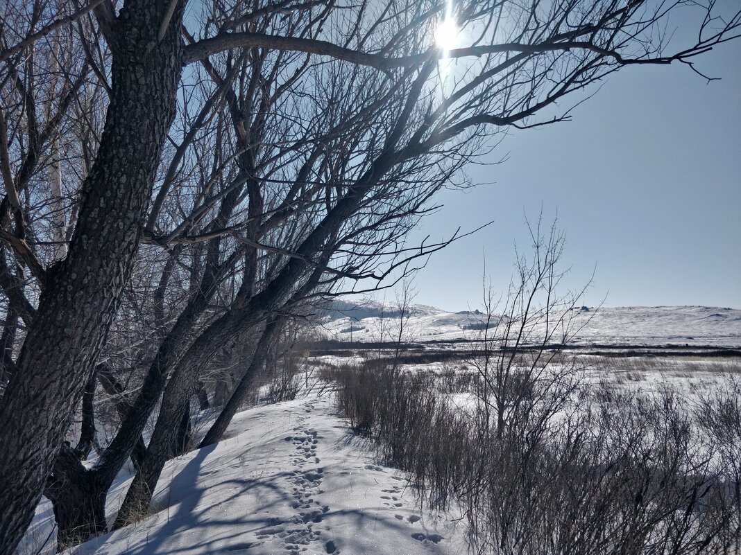 Зимнее Солнце - Андрей Хлопонин Зимнее Солнце - Андрей Хлопонин