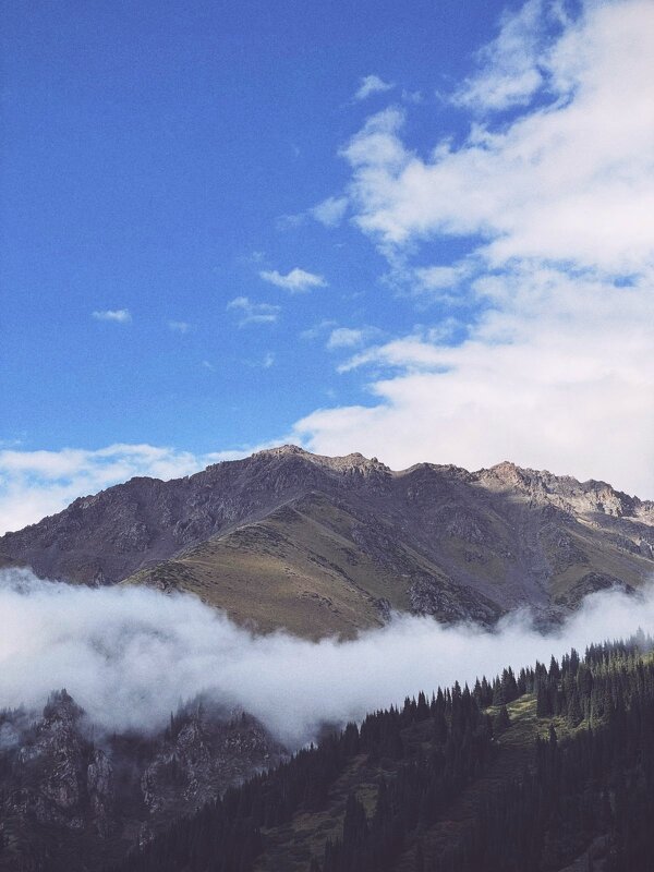 Заилийское Алатао - Георгиевич 
