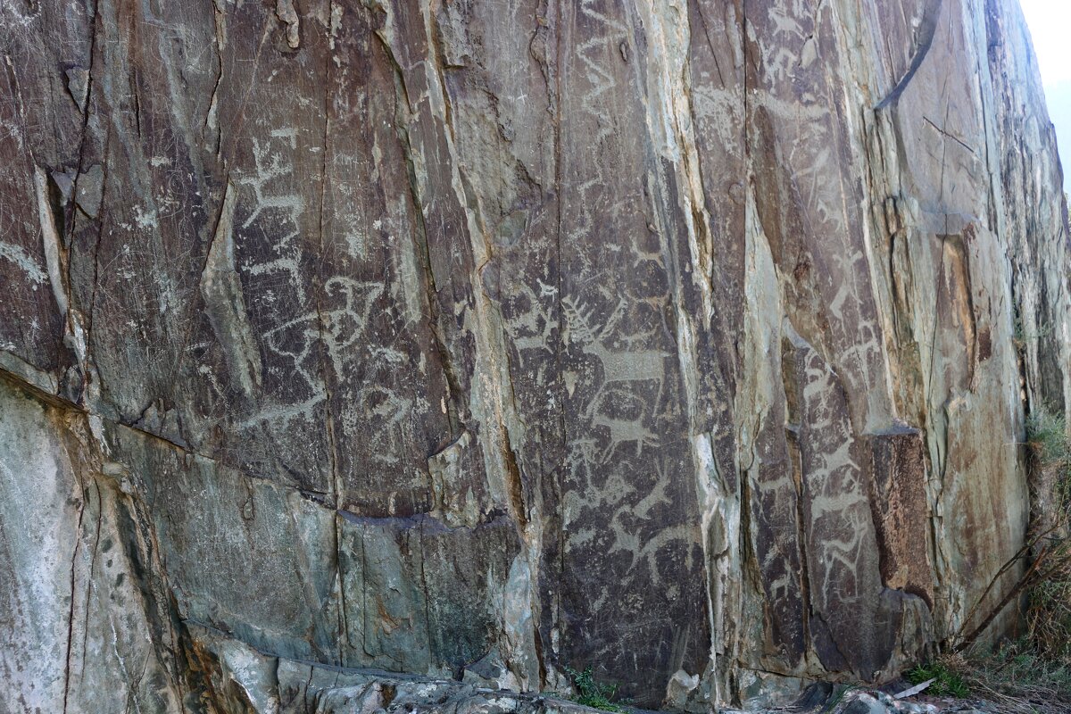 Алтайские петроглифы - Ольга Алтайские петроглифы - Ольга