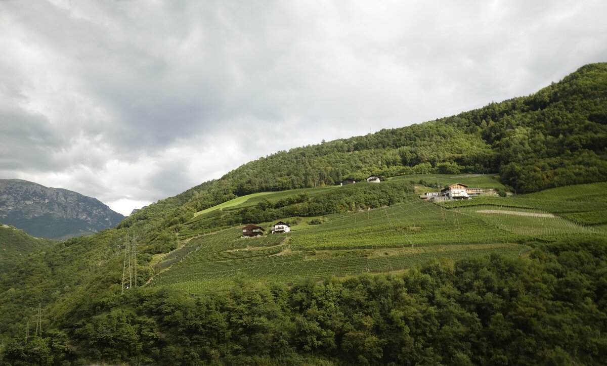 Предгорье южных Альп, проездом - Галина Предгорье южных Альп, проездом - Галина