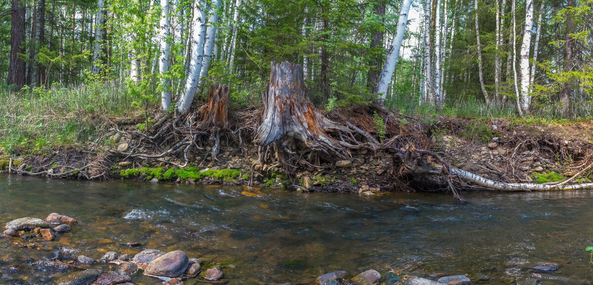 Речка Куштумга. - Алексей Трухин