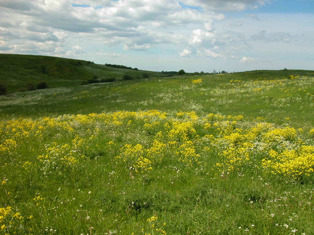 Родные просторы. - Наталья Лунева Родные просторы. - Наталья Лунева