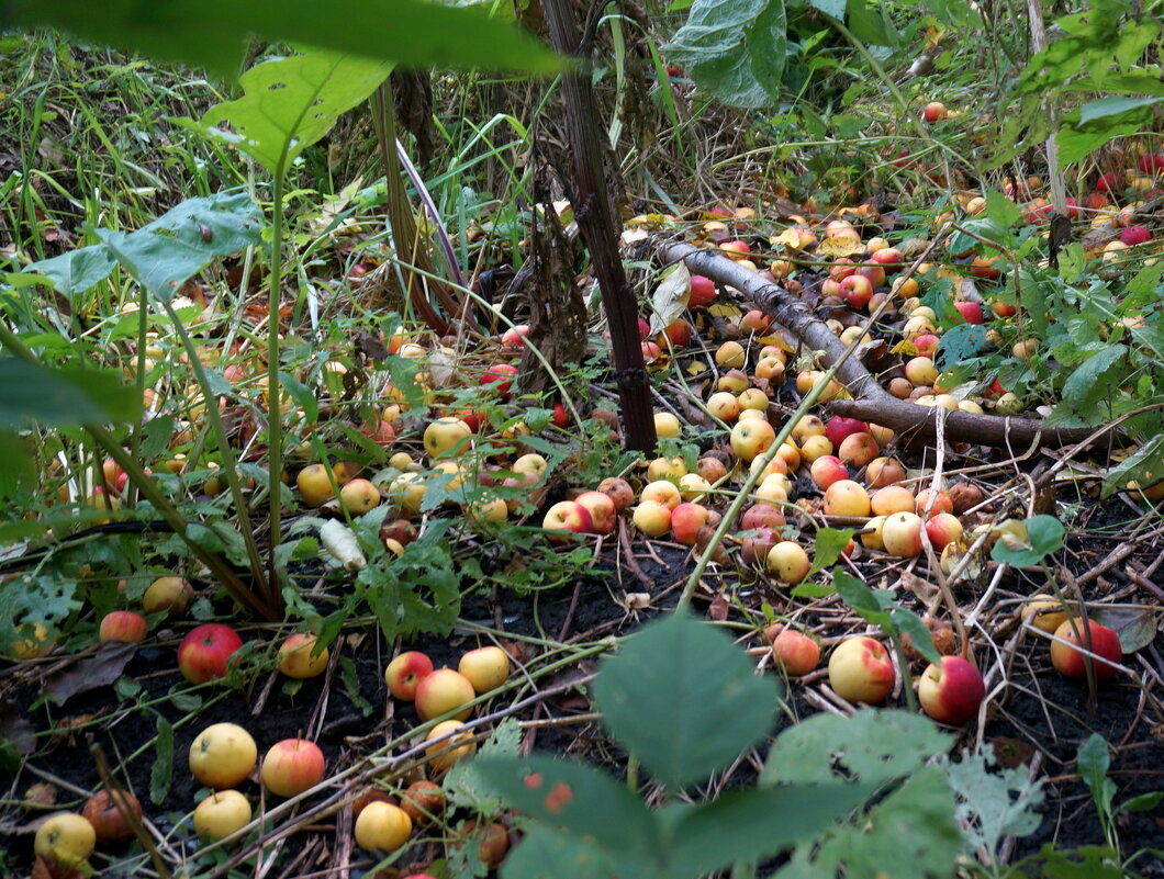 Лето считай что прошло... - Андрей Катков