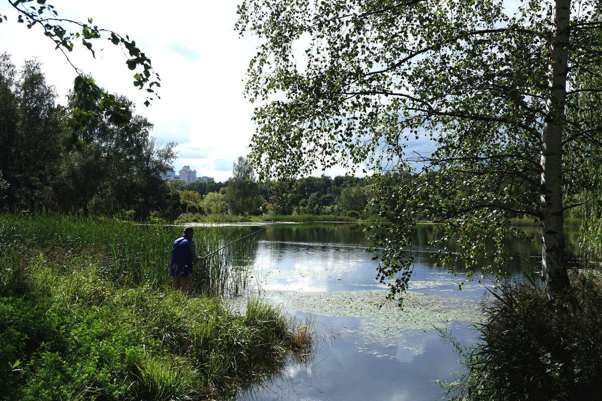 С утра сидит на озере любитель рыболов... - Олег Чернов С утра сидит на озере любитель рыболов... - Олег Чернов