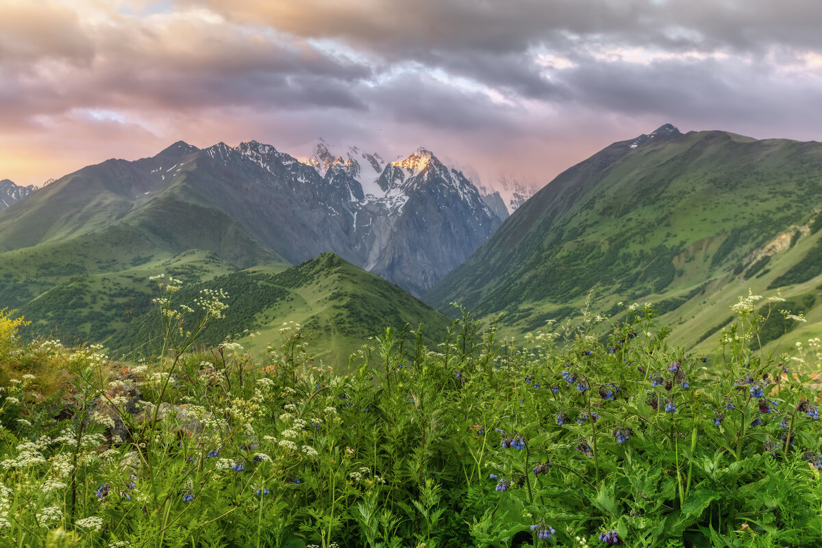 Кавказ. Лето. - Владимир Колесников