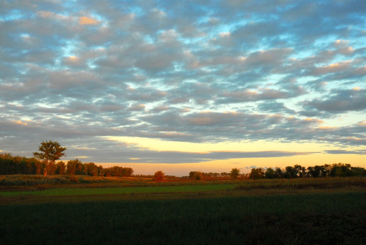 Вечереет. - Владимир 