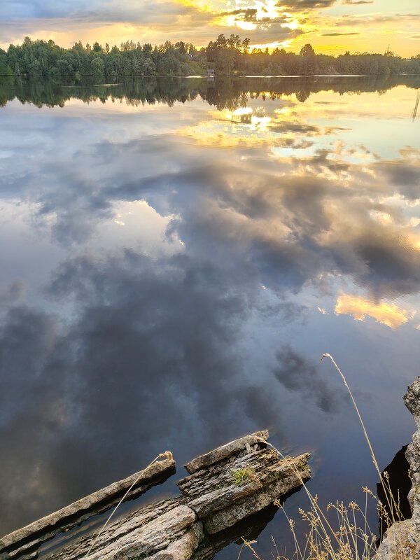 Август - Андрей 