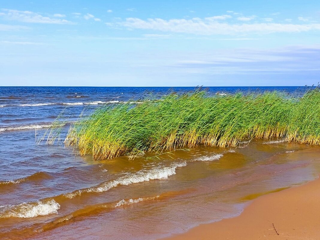 Ладожское озеро - Хватова Марина 