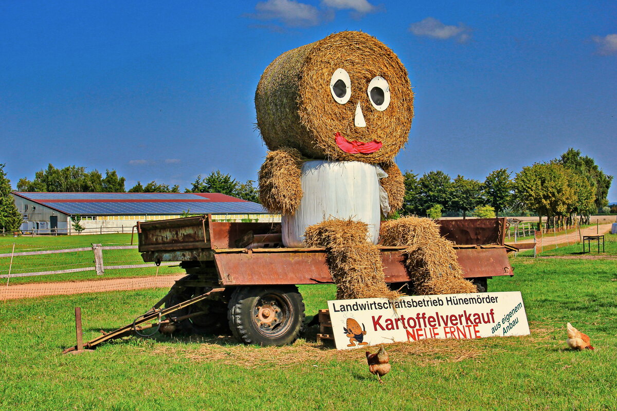 Когда урожай собран или забавы аграриев - Андрей K.