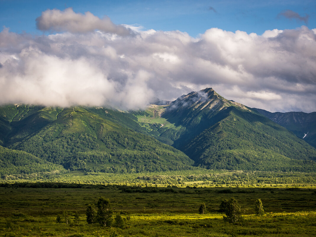 ... - Жора Житников