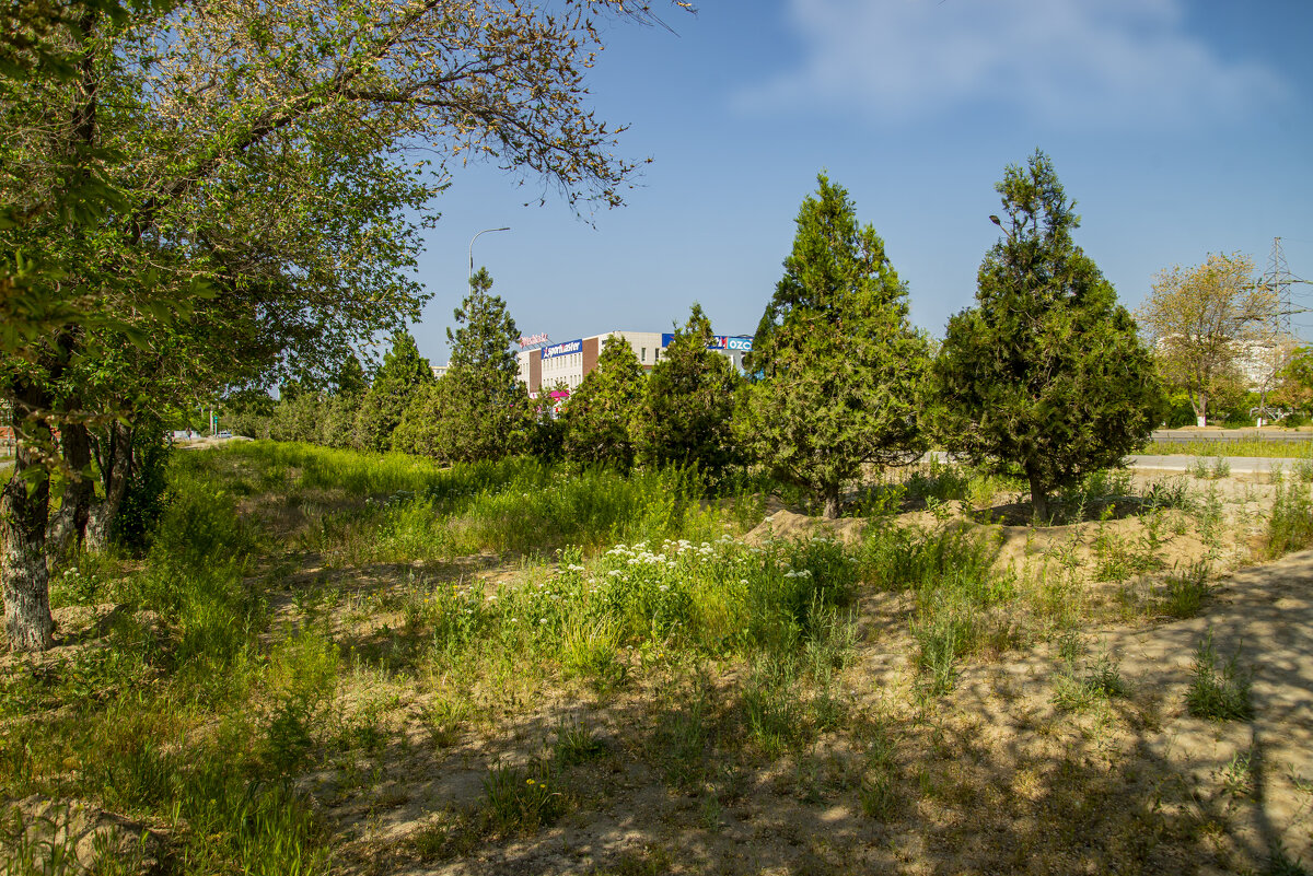 Актау - Анатолий Чикчирный