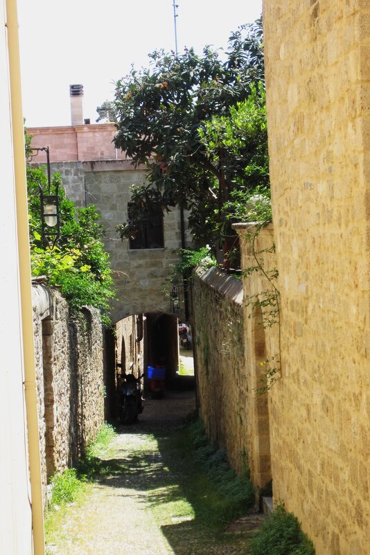 Греция - Натали 