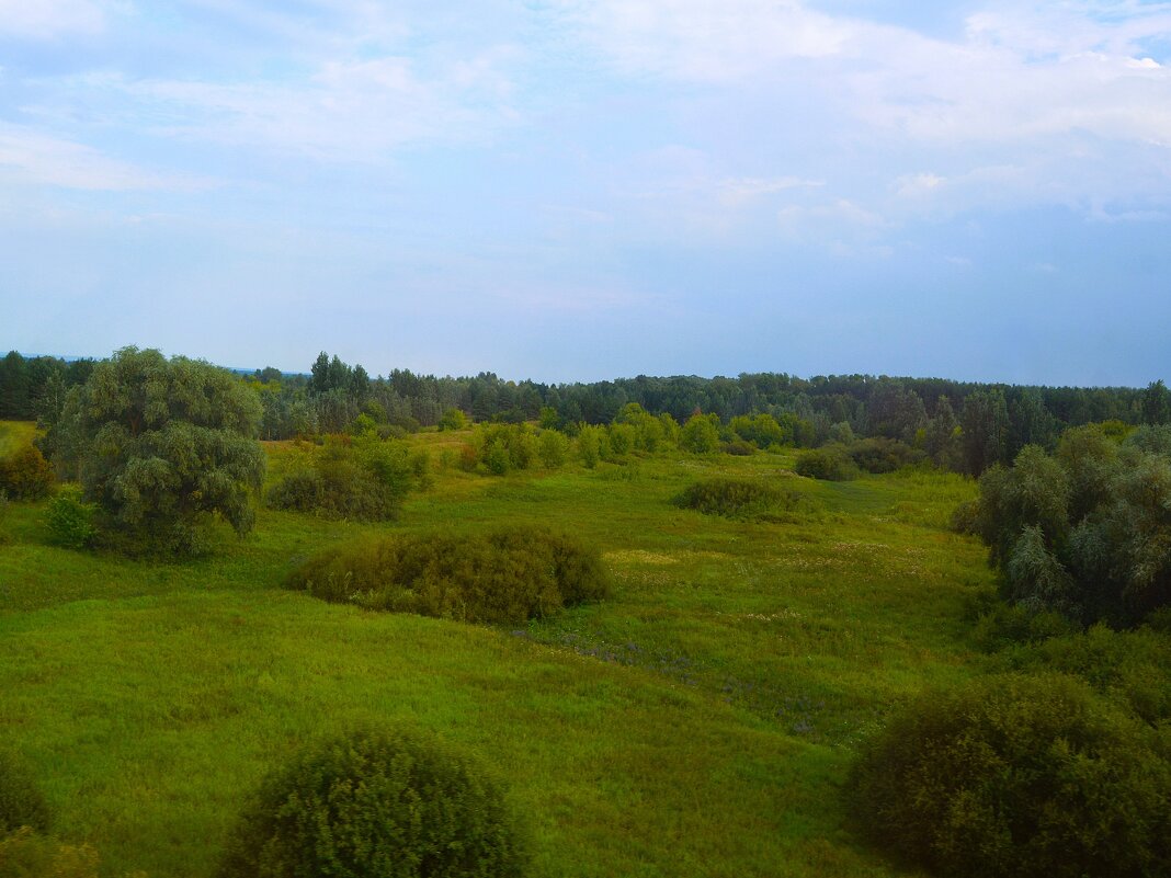 Алатырь. Северо-восточные окрестности города. - Пётр Чернега