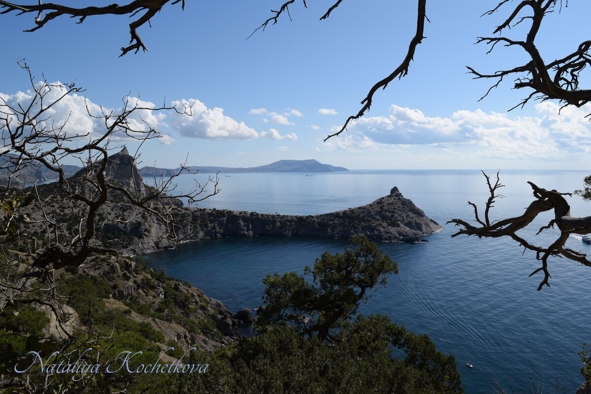 Природа Крыма - Amazing Cosmea