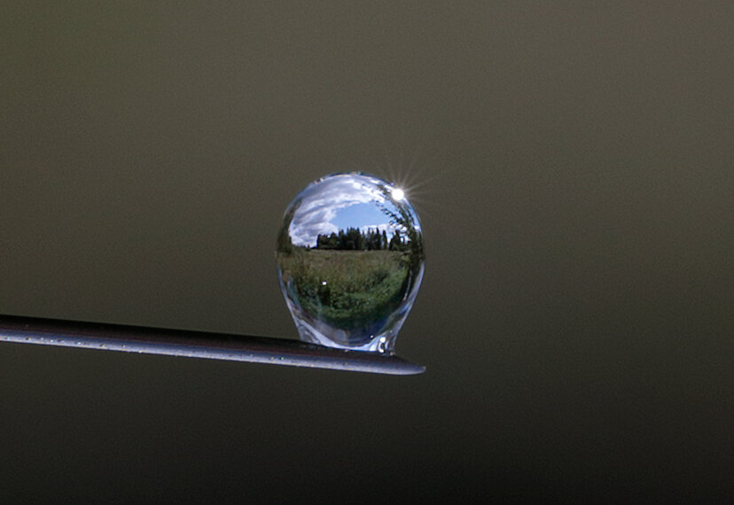 Мир в капельке воды - Oleg S Мир в капельке воды - Oleg S